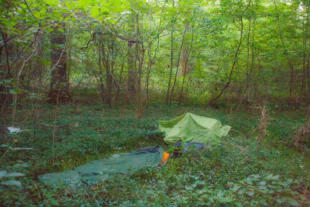 bivvy-in-the-woods