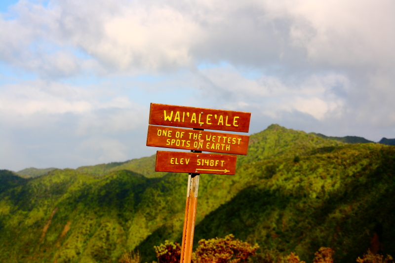 Koke'e State Park, Kaua'i, Hawaii
